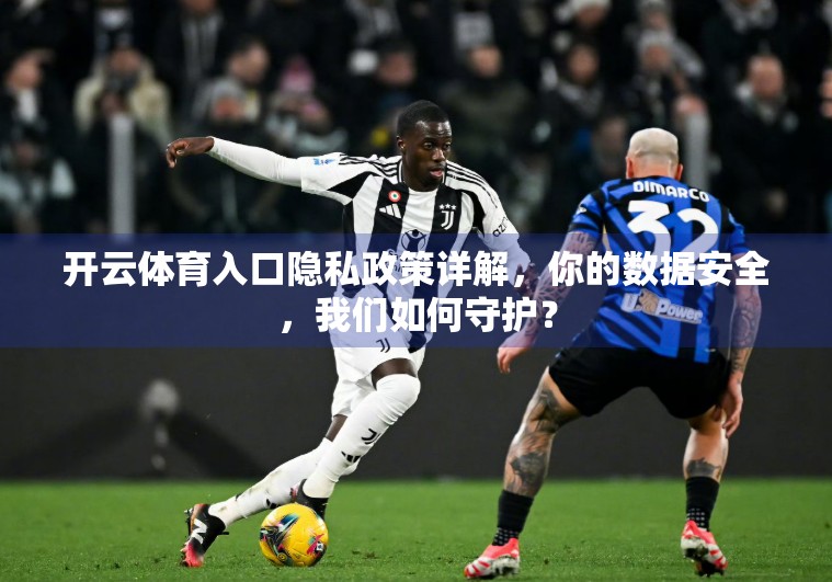 开云体育入口隐私政策详解，你的数据安全，我们如何守护？
