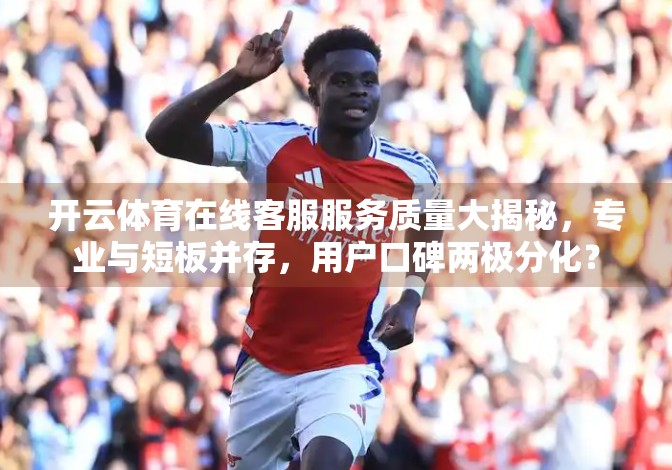 开云体育在线客服服务质量大揭秘，专业与短板并存，用户口碑两极分化？