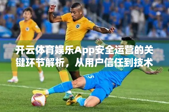开云体育娱乐App安全运营的关键环节解析，从用户信任到技术护盾的全方位保障