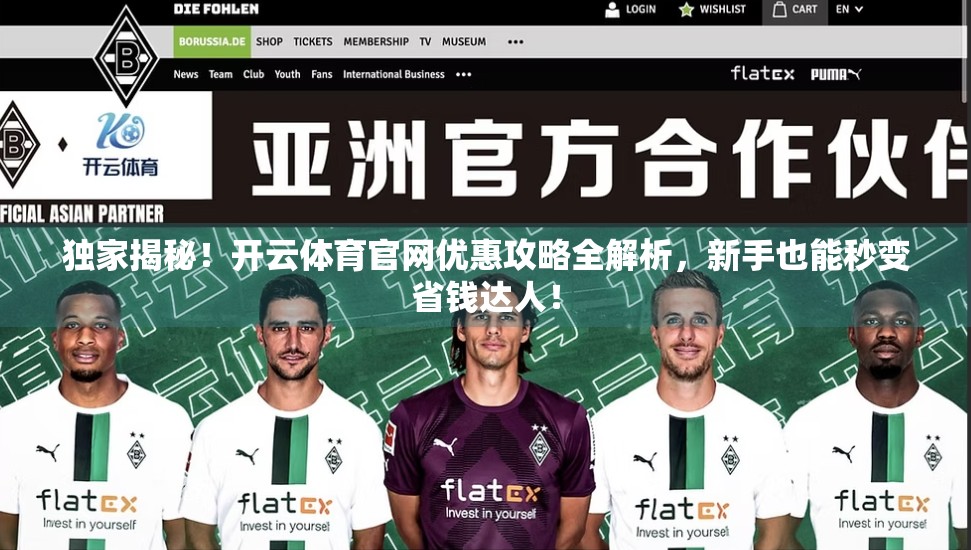独家揭秘！开云体育官网优惠攻略全解析，新手也能秒变省钱达人！