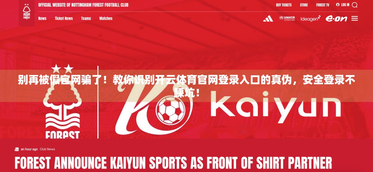 别再被假官网骗了！教你识别开云体育官网登录入口的真伪，安全登录不踩坑！