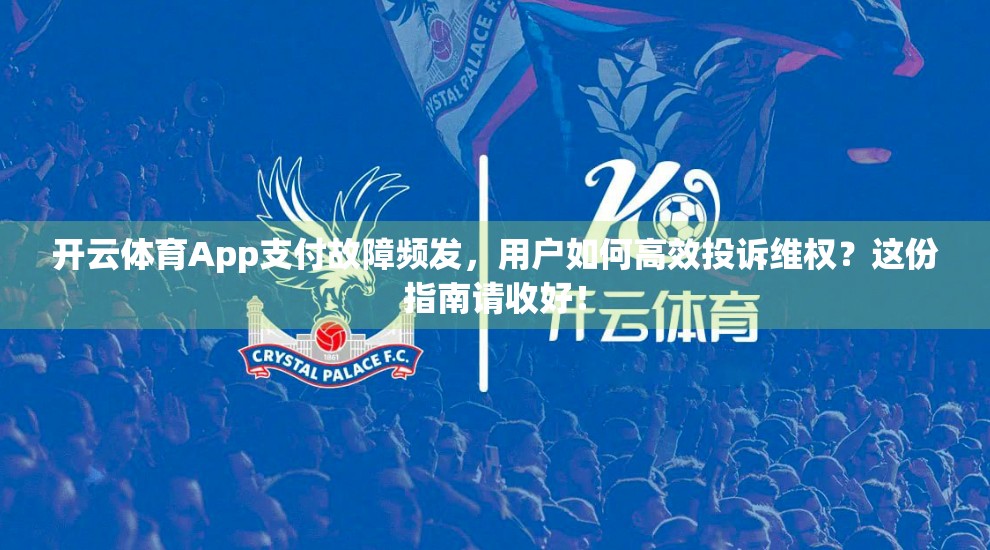 开云体育App支付故障频发，用户如何高效投诉维权？这份指南请收好！