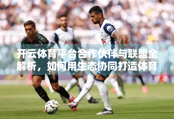 开云体育平台合作伙伴与联盟全解析，如何用生态协同打造体育营销新范式？
