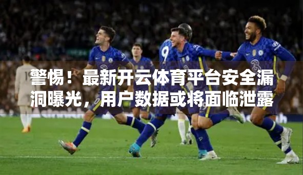 警惕！最新开云体育平台安全漏洞曝光，用户数据或将面临泄露风险！