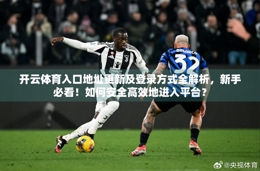 开云体育入口地址更新及登录方式全解析，新手必看！如何安全高效地进入平台？
