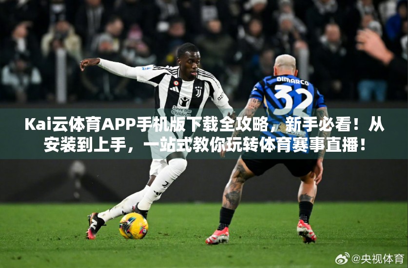 Kai云体育APP手机版下载全攻略，新手必看！从安装到上手，一站式教你玩转体育赛事直播！