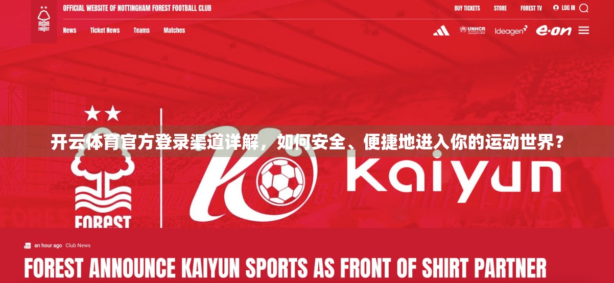 开云体育官方登录渠道详解，如何安全、便捷地进入你的运动世界？