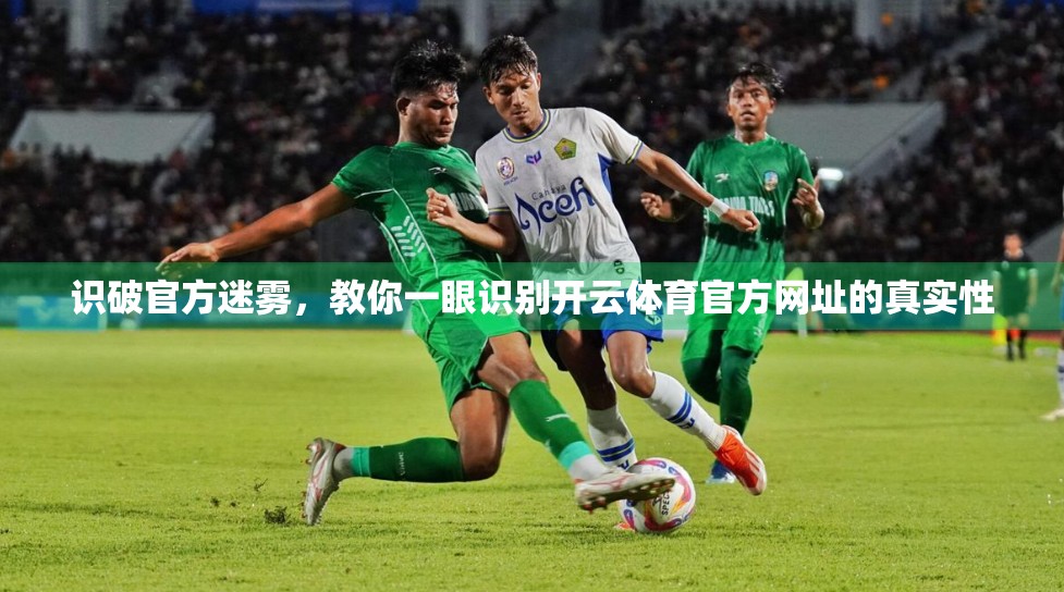 识破官方迷雾，教你一眼识别开云体育官方网址的真实性