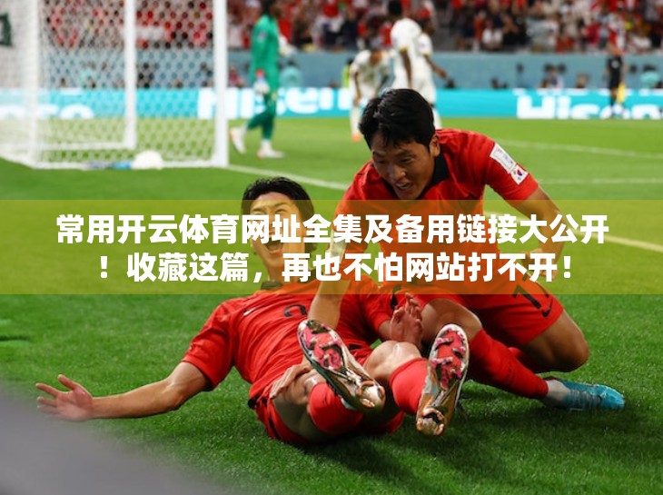常用开云体育网址全集及备用链接大公开！收藏这篇，再也不怕网站打不开！