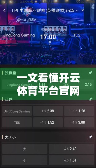 一文看懂开云体育平台官网入口常用链接合集，新手也能秒变老手！
