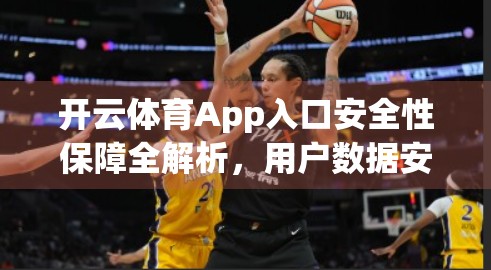 开云体育App入口安全性保障全解析，用户数据安全如何筑牢防线？