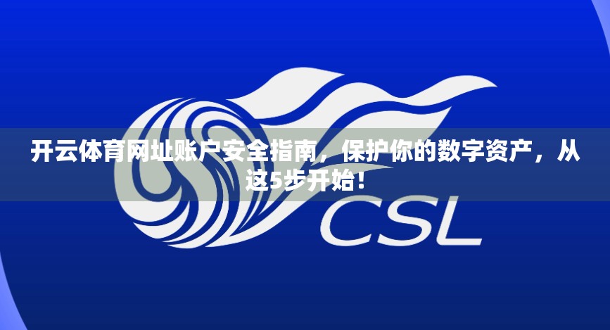 开云体育网址账户安全指南，保护你的数字资产，从这5步开始！